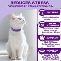 Aurevoen cat collar waterproof design ideal for daily wear and play