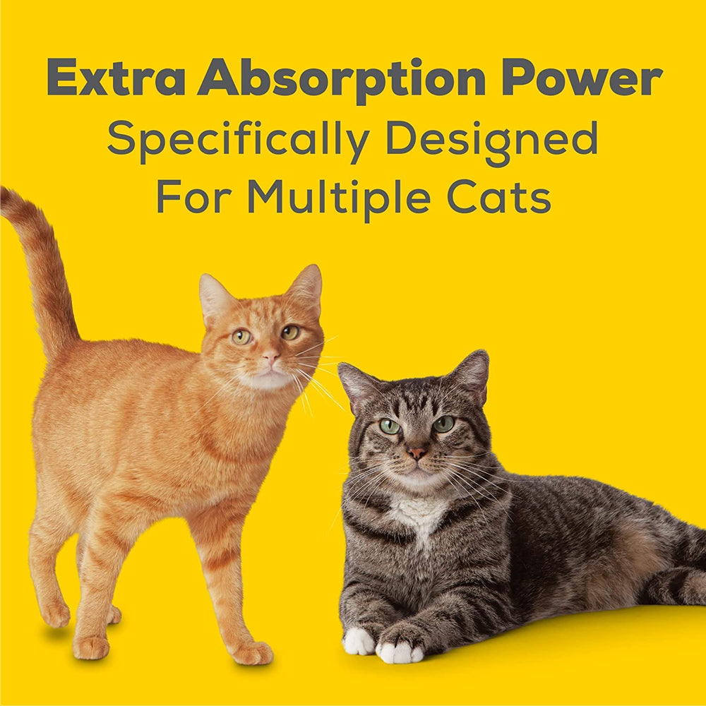 Aurora Pet Catnip Toy assorted promotes interactive play after pad changes