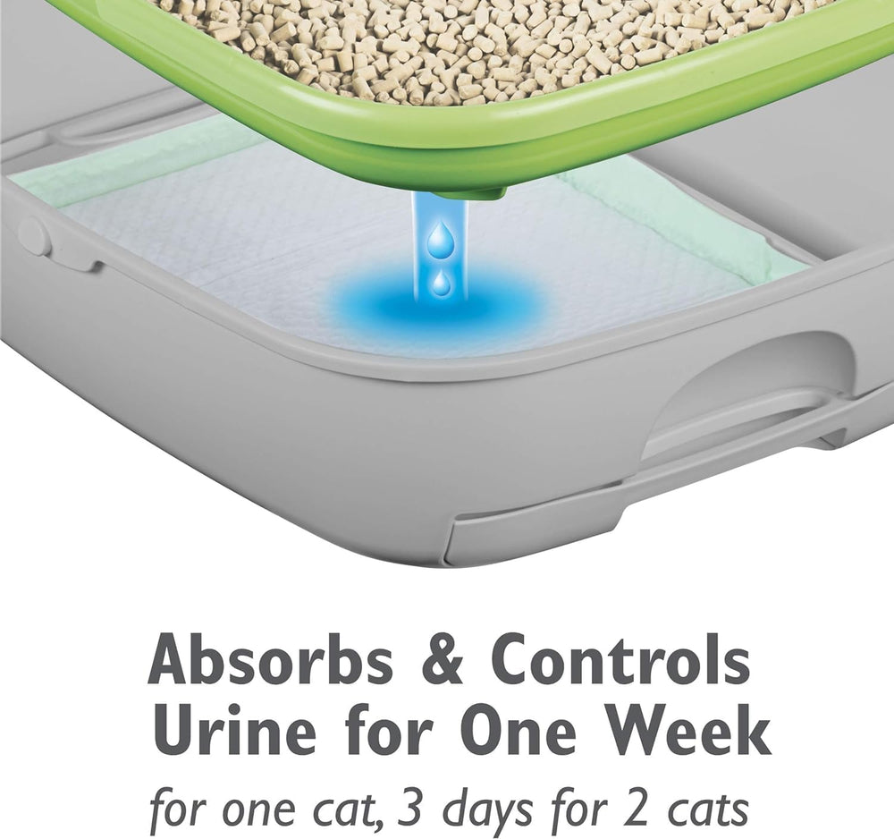 Aurora Pet two-pouch bundle emphasizes value and convenience