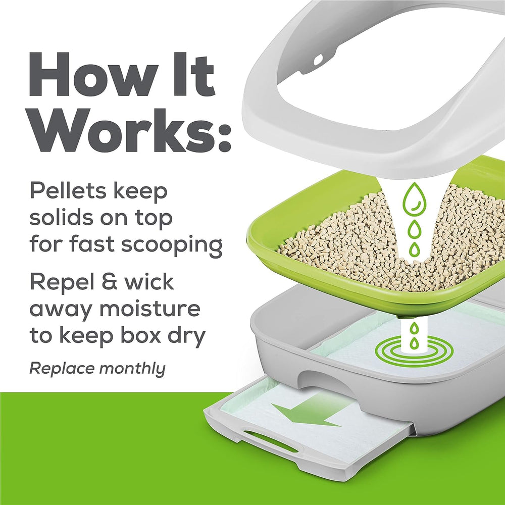 Aurora Pet Bundle shows multi-cat-friendly setup and easy maintenance.