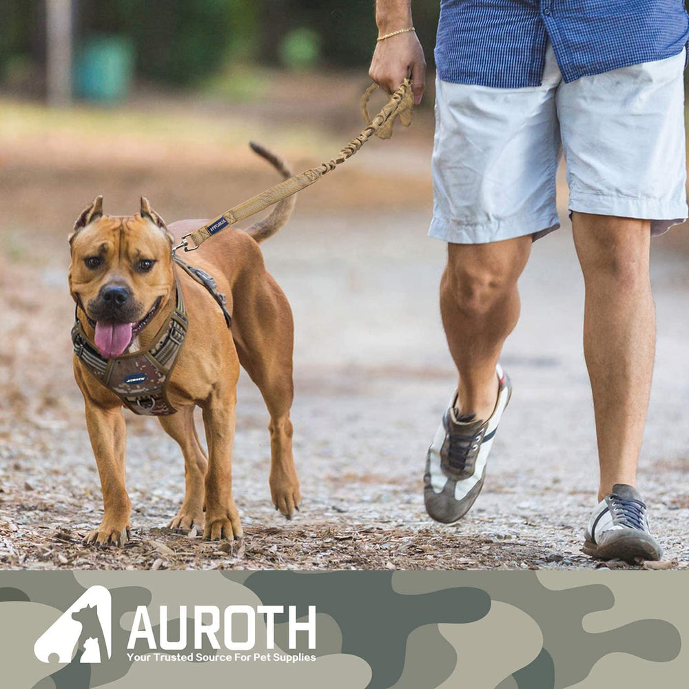 AUROTH anti-tangle rotation keeps walks smooth and tangle-free