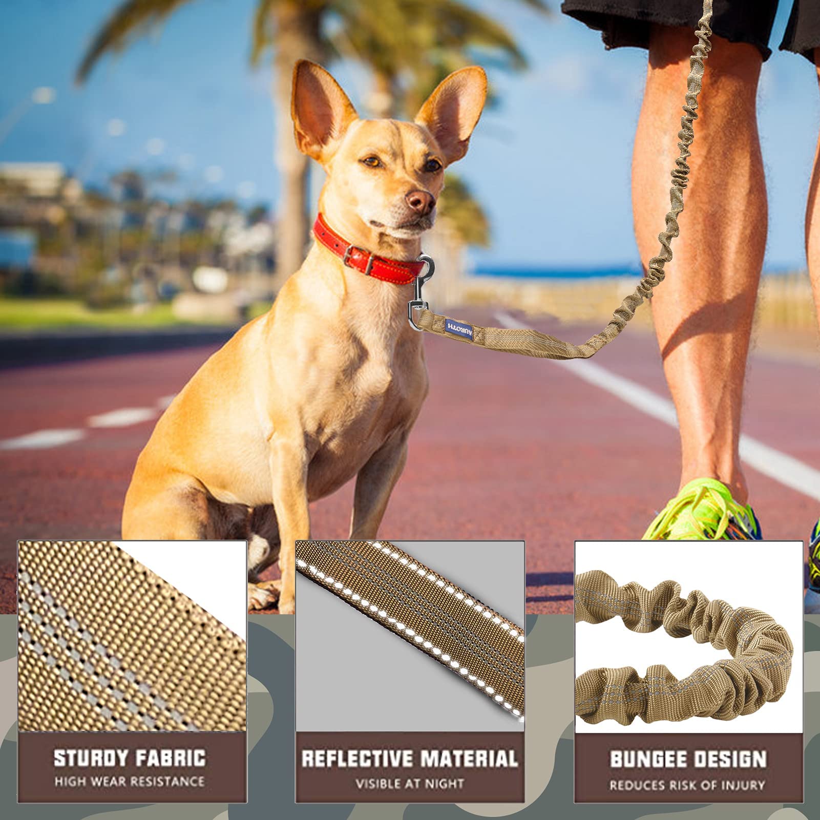 AUROTH bungee leash with dual padded handles for comfortable control.
