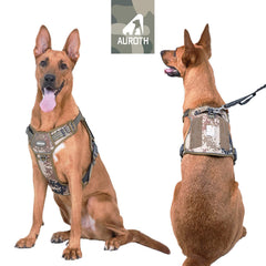 AUROTH dog harness showing easy-adjustment buckles for quick on/off.