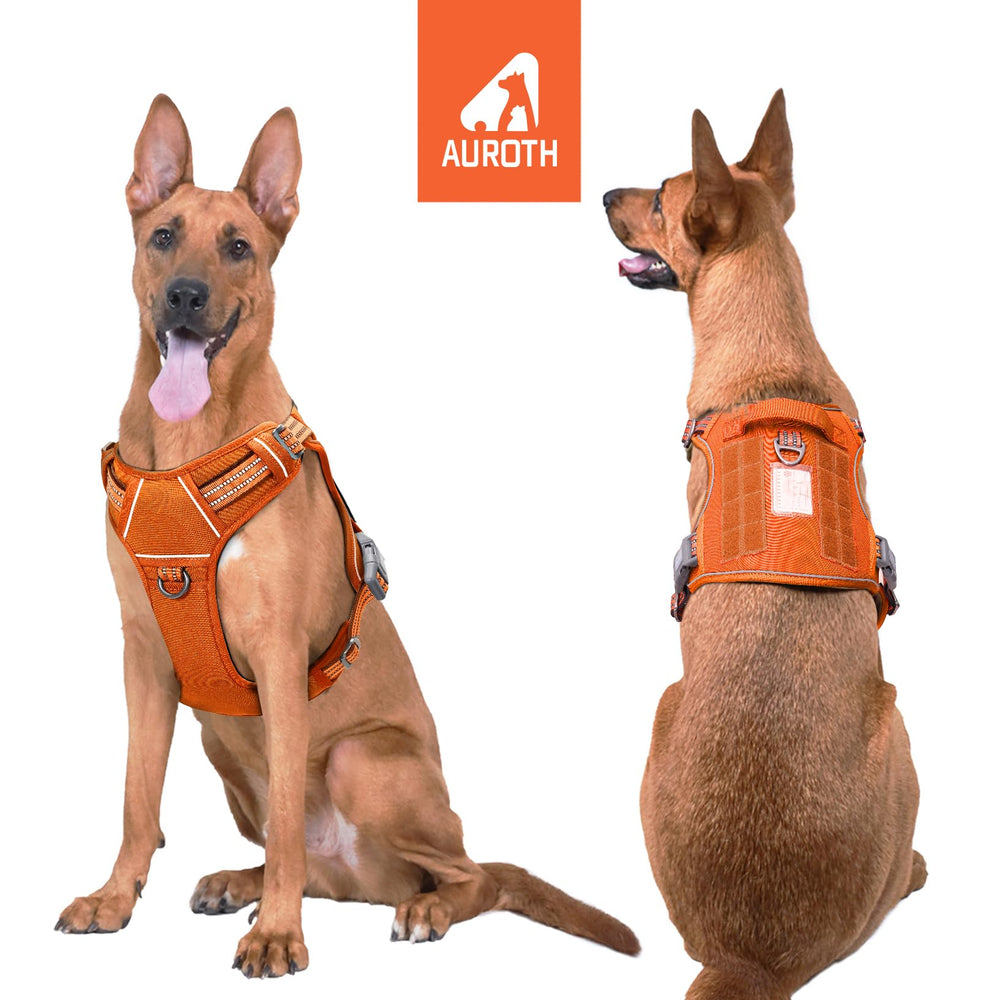 AUROTH tactical dog harness orange no-pull front-clip for training and better control.