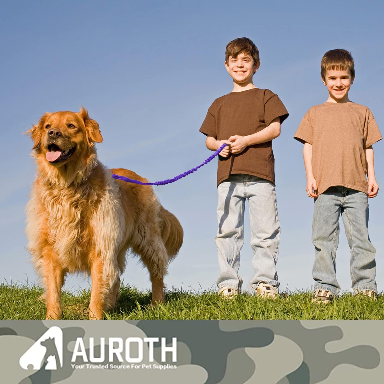 AUROTH leash available in 4ft and 6ft lengths for close control or exploration