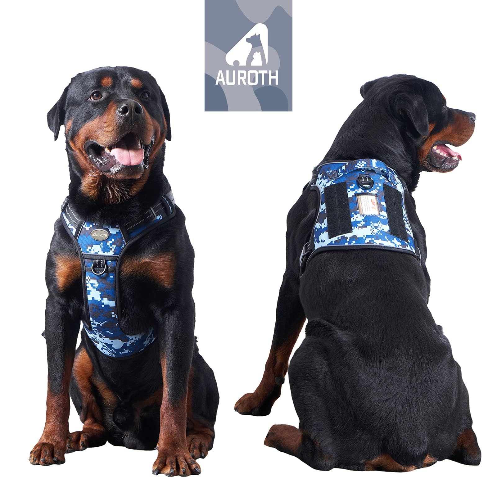 AUROTH harness demonstrates durable nylon stitching and rugged construction