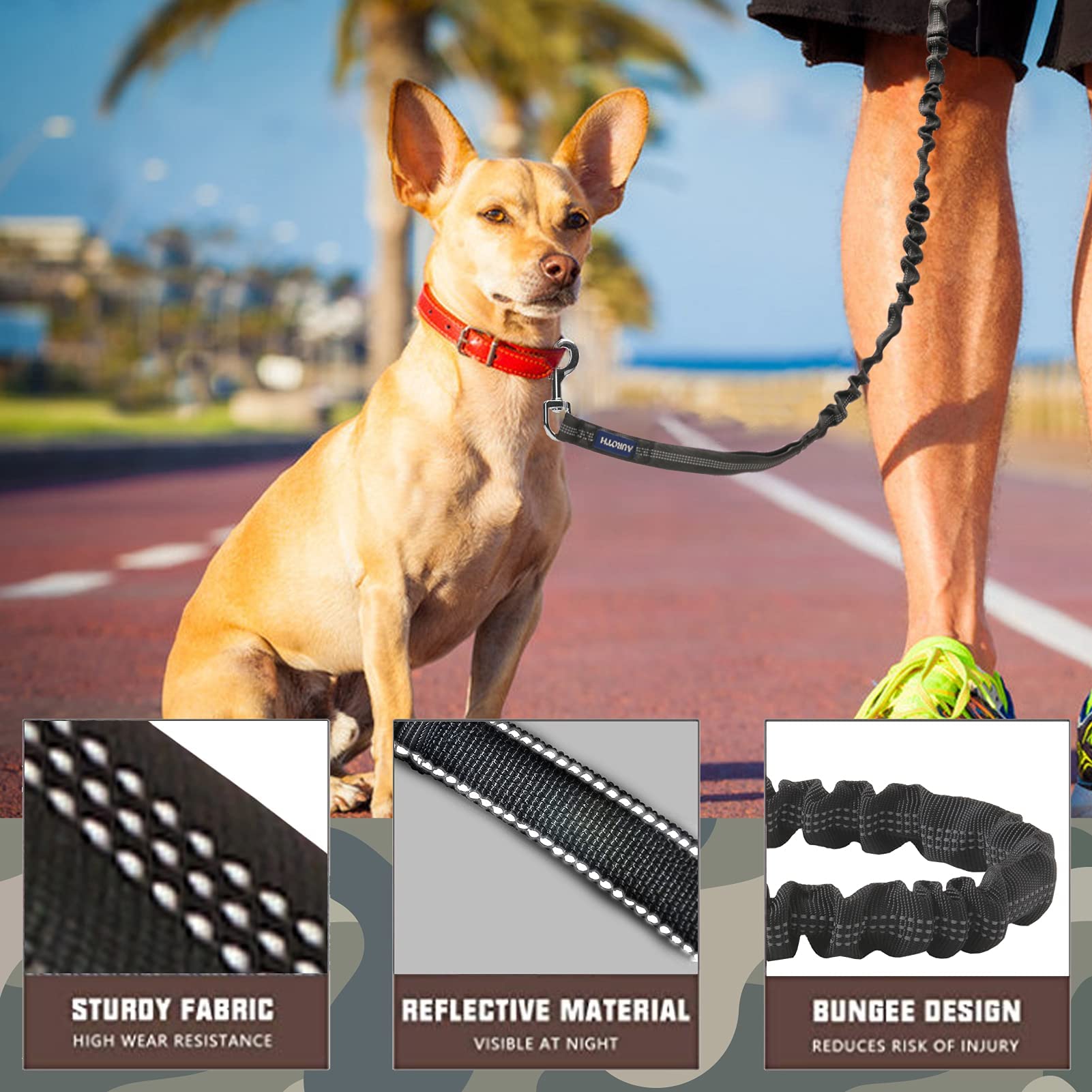 AUROTH heavy-duty bungee dog leash 6ft, flexible reach for everyday adventures.