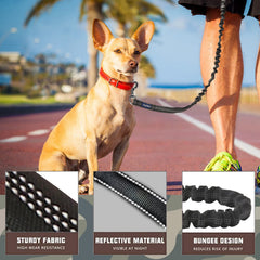 AUROTH heavy-duty bungee dog leash 6ft, flexible reach for everyday adventures.