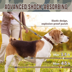 AUROTH leash with reflective stitching enhances nighttime visibility.