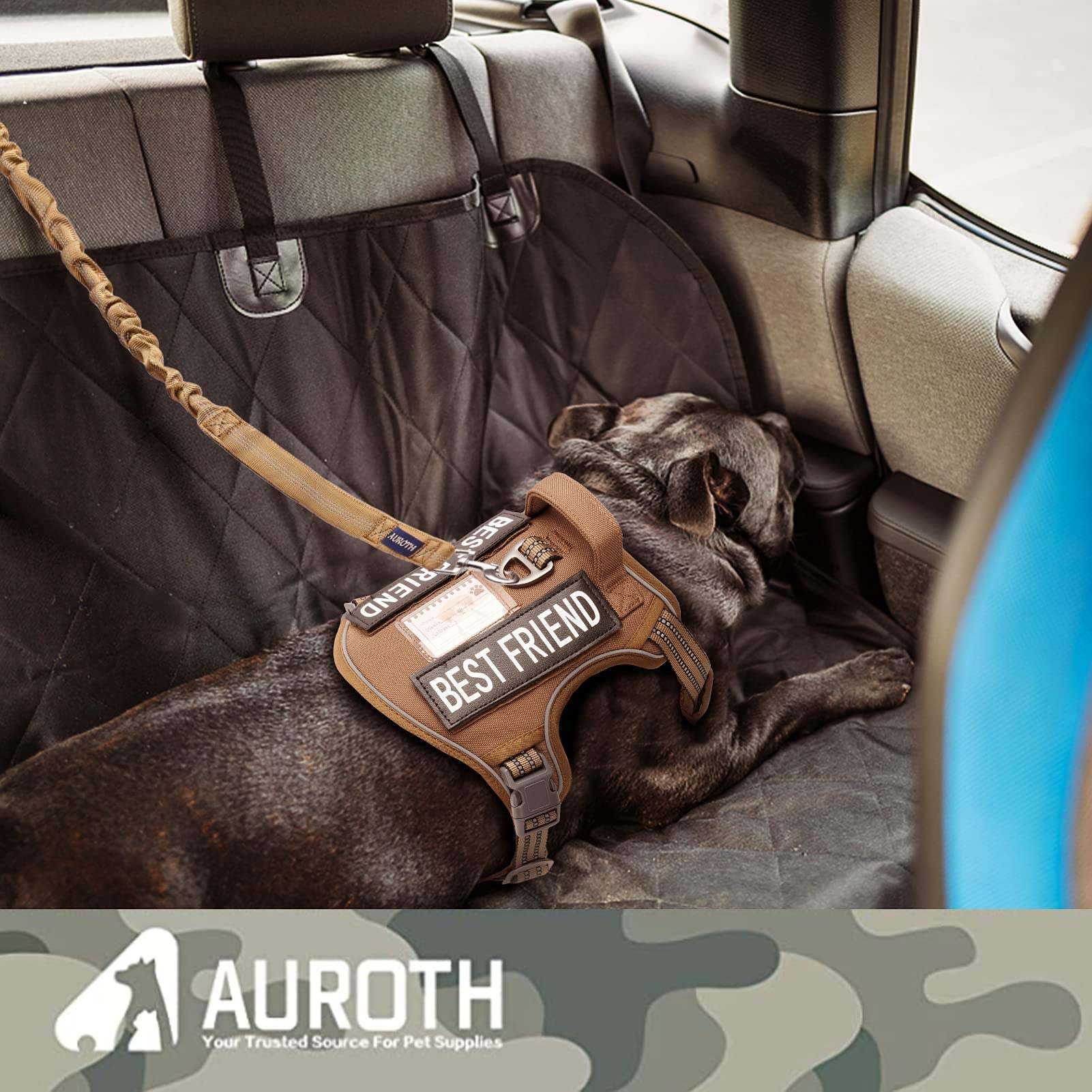 AUROTH car-travel leash with seatbelt buckle keeps dogs secure.