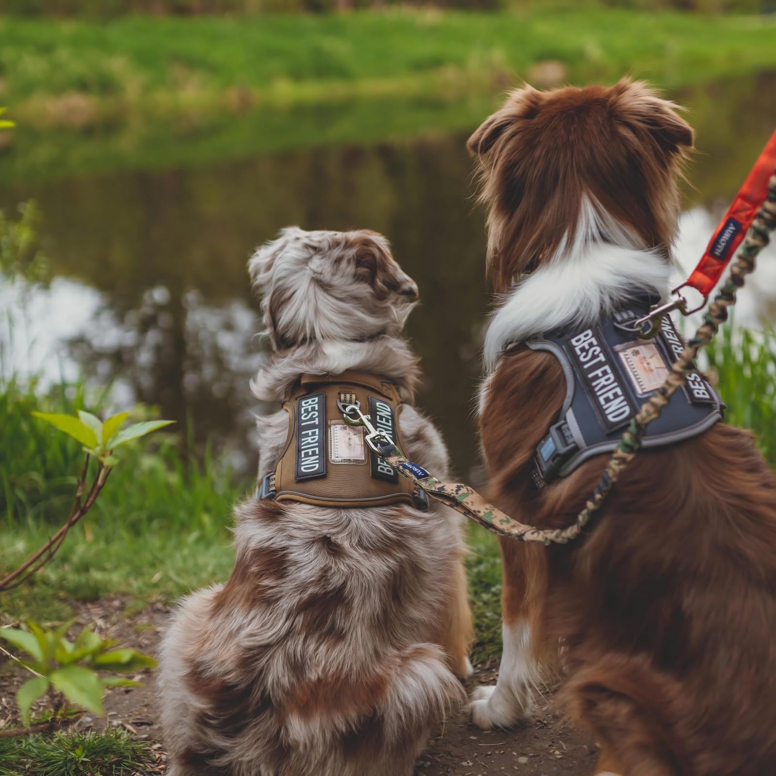 AUROTH sizing chart image to help find the right harness size.