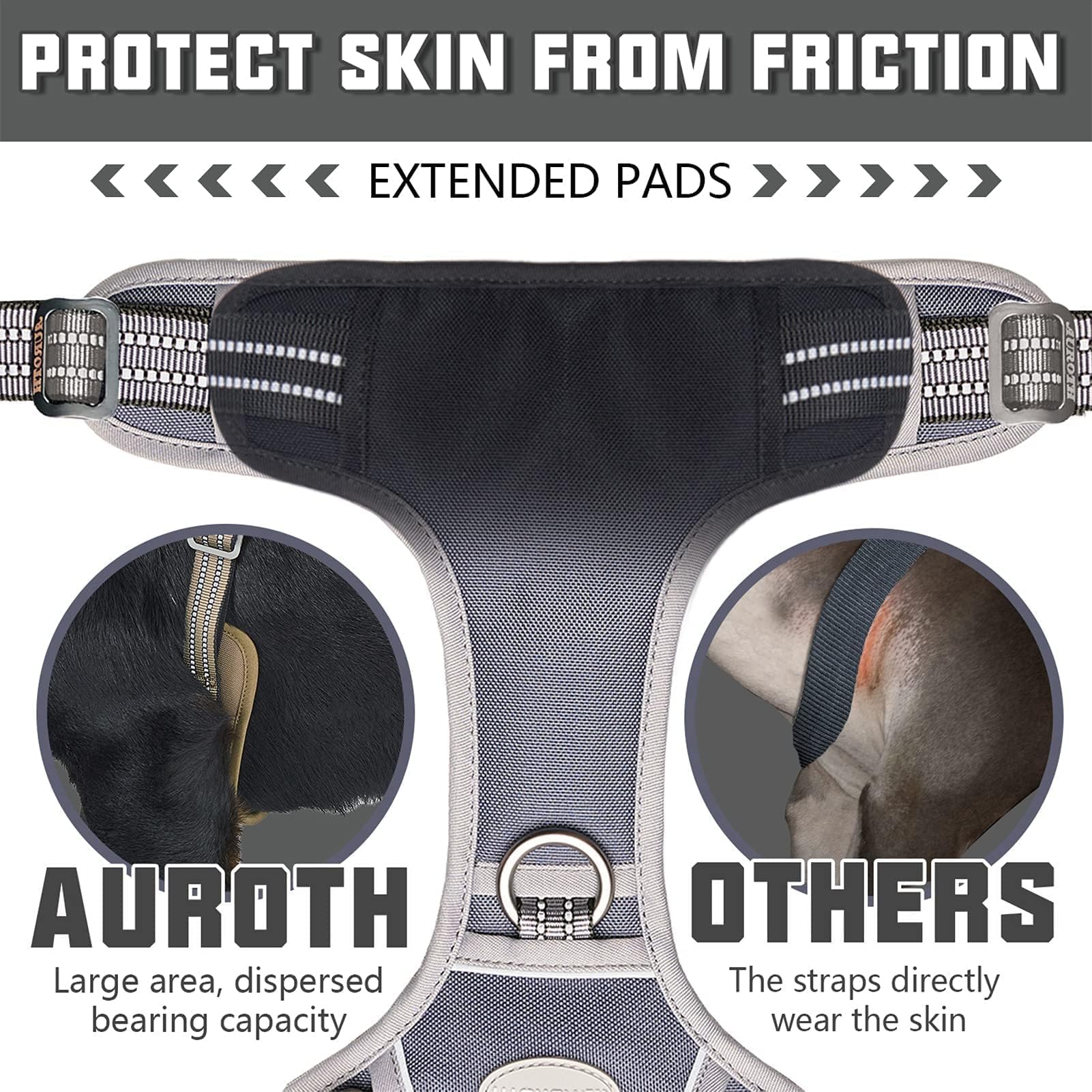 AUROTH back-clip close-up illustrates back-clip for casual walks.
