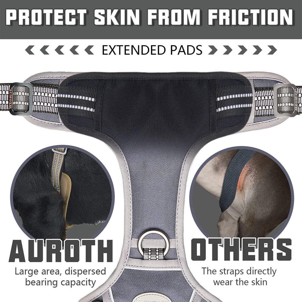 AUROTH back-clip close-up illustrates back-clip for casual walks.