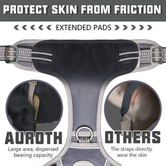AUROTH back-clip close-up illustrates back-clip for casual walks.