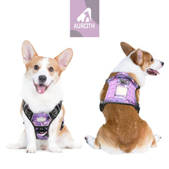 AUROTH Tactical Dog Harness back clip supports secure everyday walks