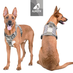 AUROTH tactical harness back clip highlights secure leash attachment and no-pull control