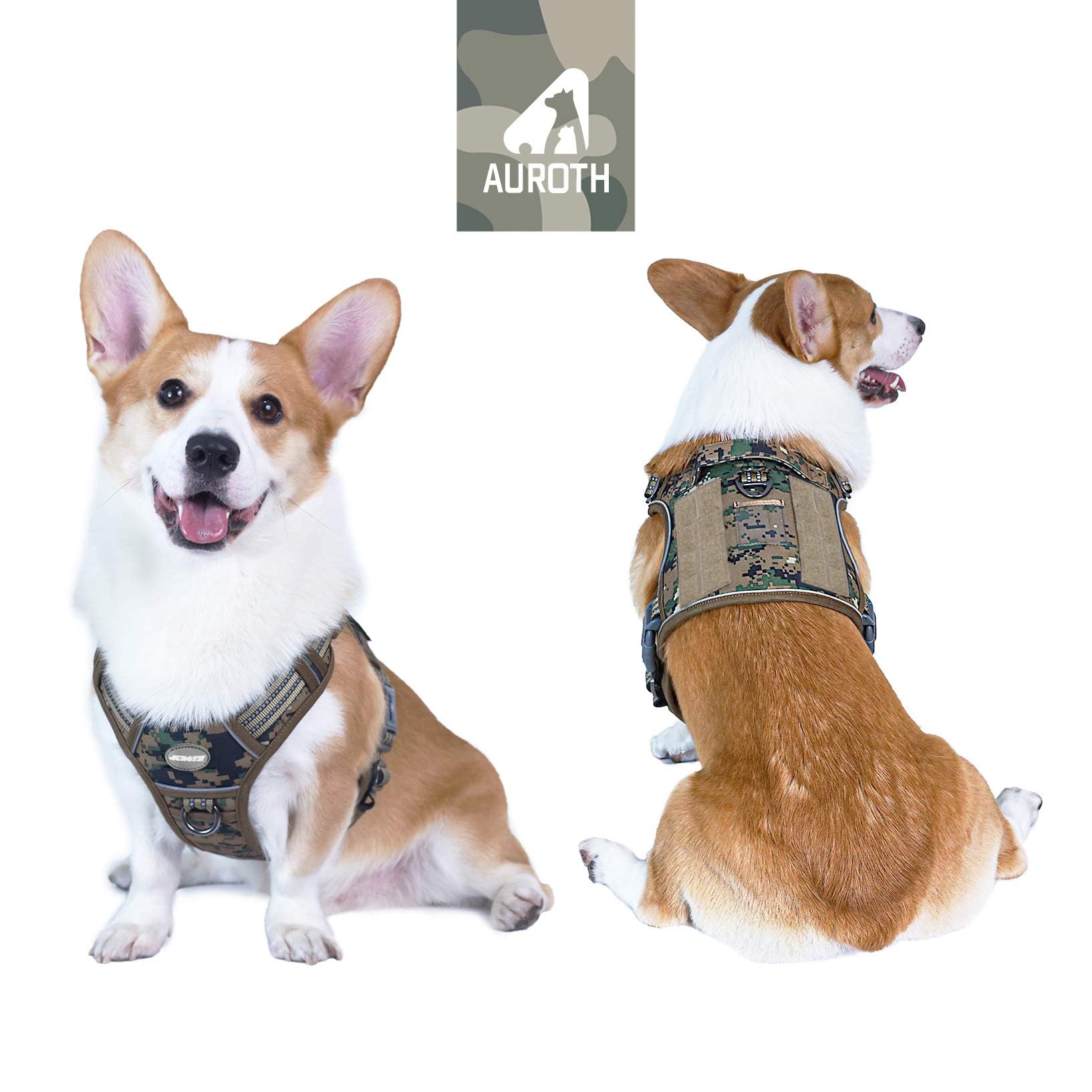 AUROTH harness back view showcases Molle compatibility for gear and patches