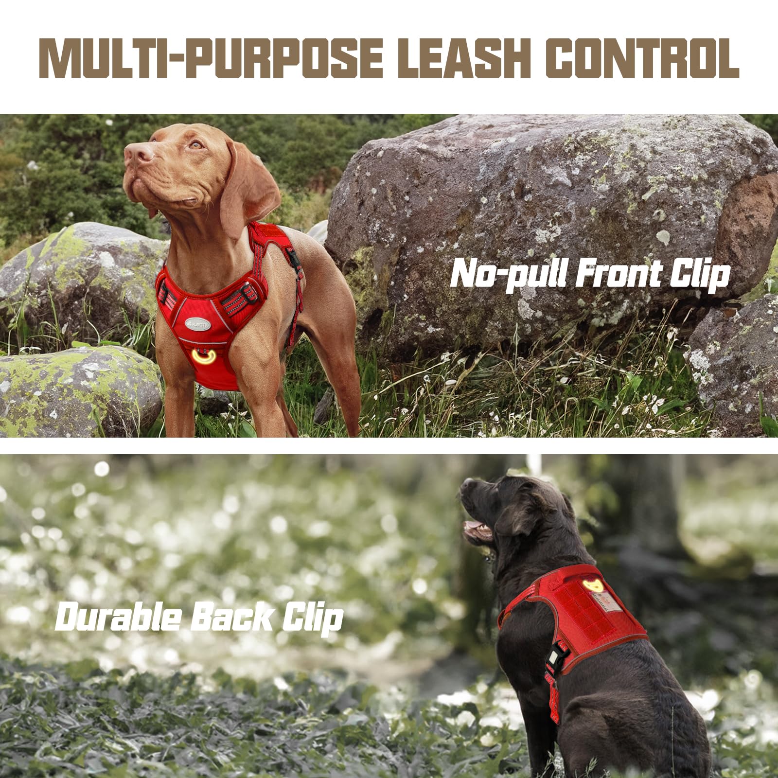 AUROTH Breathable air mesh keeps dogs comfortable during long activities