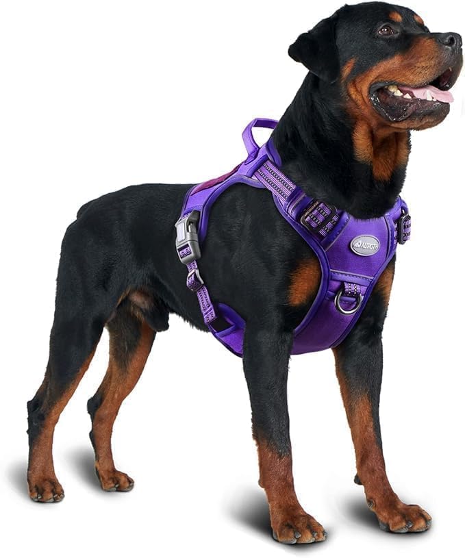AUROTH harness uses breathable air mesh for cooler, comfortable wear