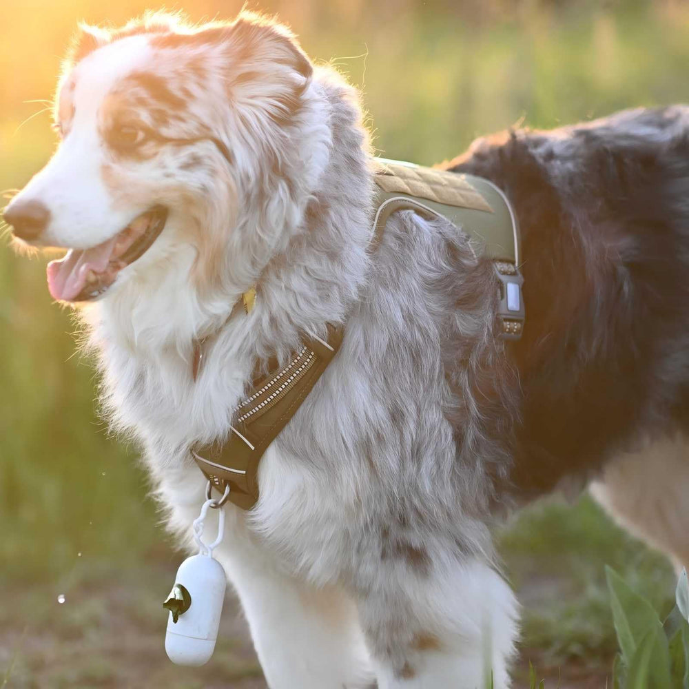 AUROTH Tactical Dog Harness breathable air mesh close-up for comfort during activity.