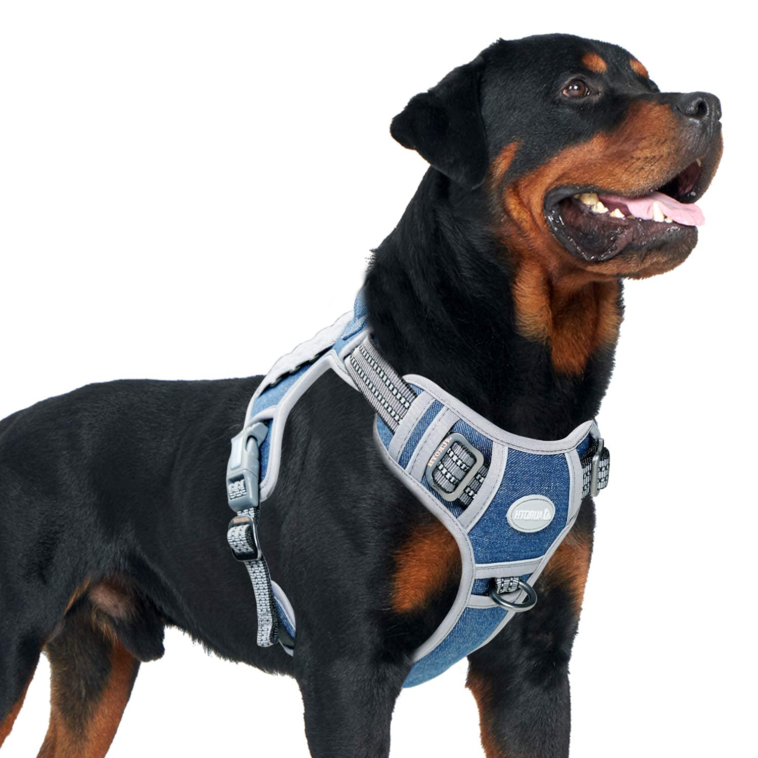 AUROTH Tactical Dog Harness denim blue front view with enhanced control
