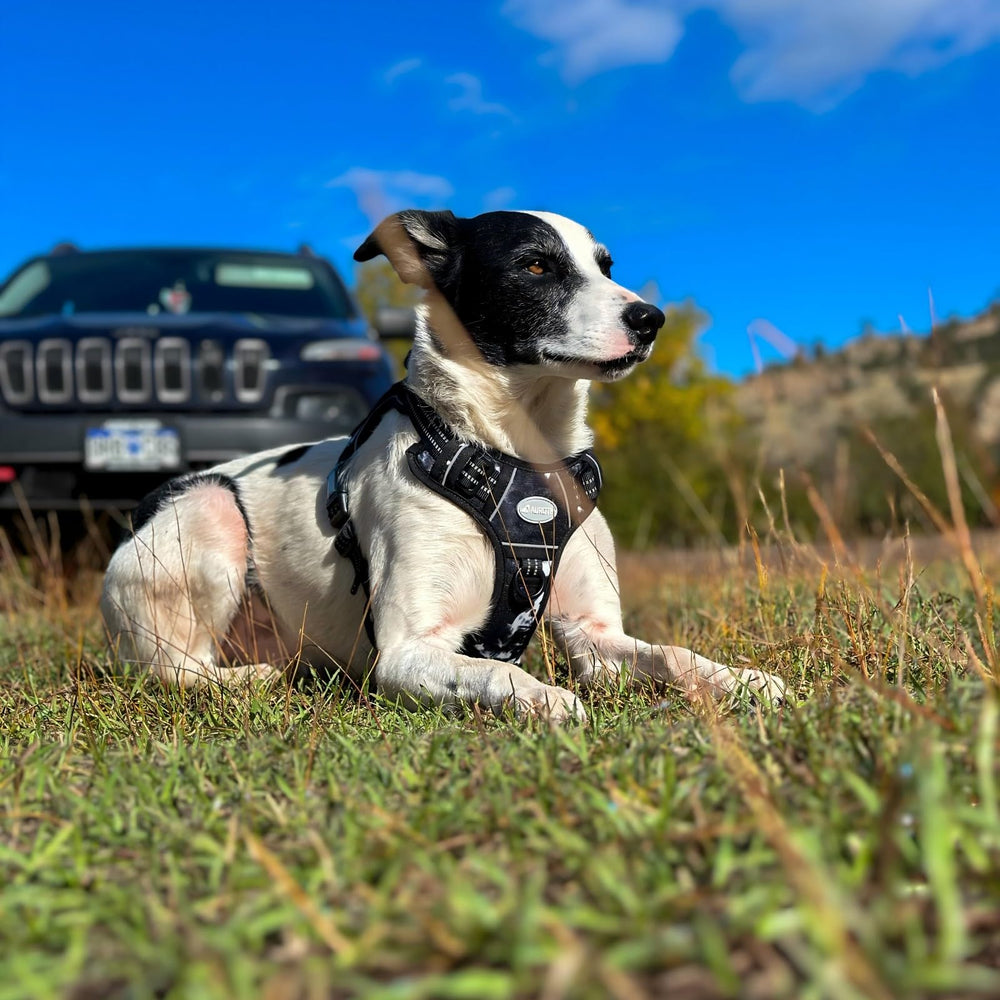 AUROTH Tactical Dog Harness durable nylon with reinforced stitching for longevity.