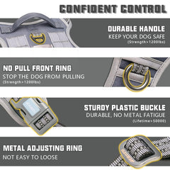 AUROTH front-clip close-up shows training-friendly no-pull attachment.