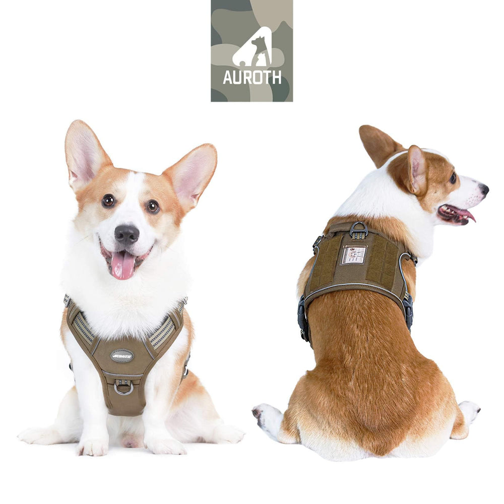 AUROTH tactical harness front clip; no-pull control during training.
