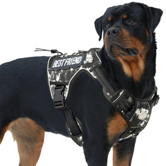 AUROTH Tactical Dog Harness full view demonstrates durable build for training and adventures.