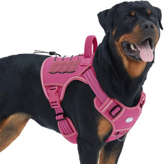 AUROTH Tactical Dog Harness large vest shows secure no-pull fit for daily walks.