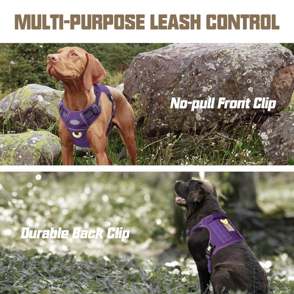 AUROTH MOLLE system side strips enable gear carry options for adventures