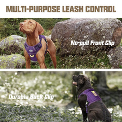 AUROTH MOLLE system side strips enable gear carry options for adventures