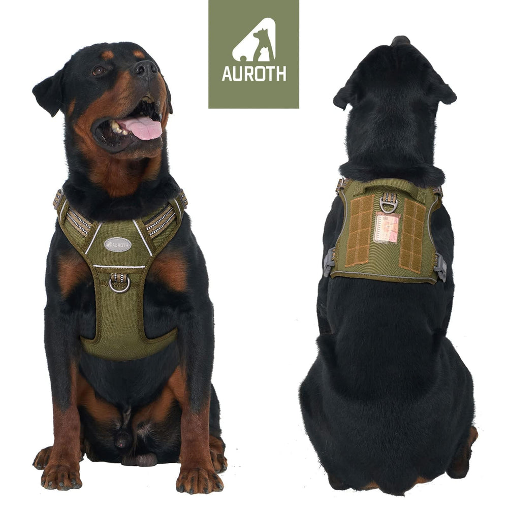 AUROTH Tactical Dog Harness no-pull back clip shown for relaxed daily walks.