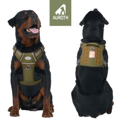 AUROTH Tactical Dog Harness no-pull back clip shown for relaxed daily walks.