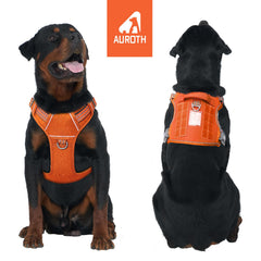 AUROTH tactical dog harness orange back clip view for casual strolls with secure support.