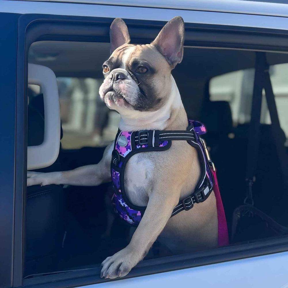 AUROTH Tactical Dog Harness quick-release buckles allow easy on off