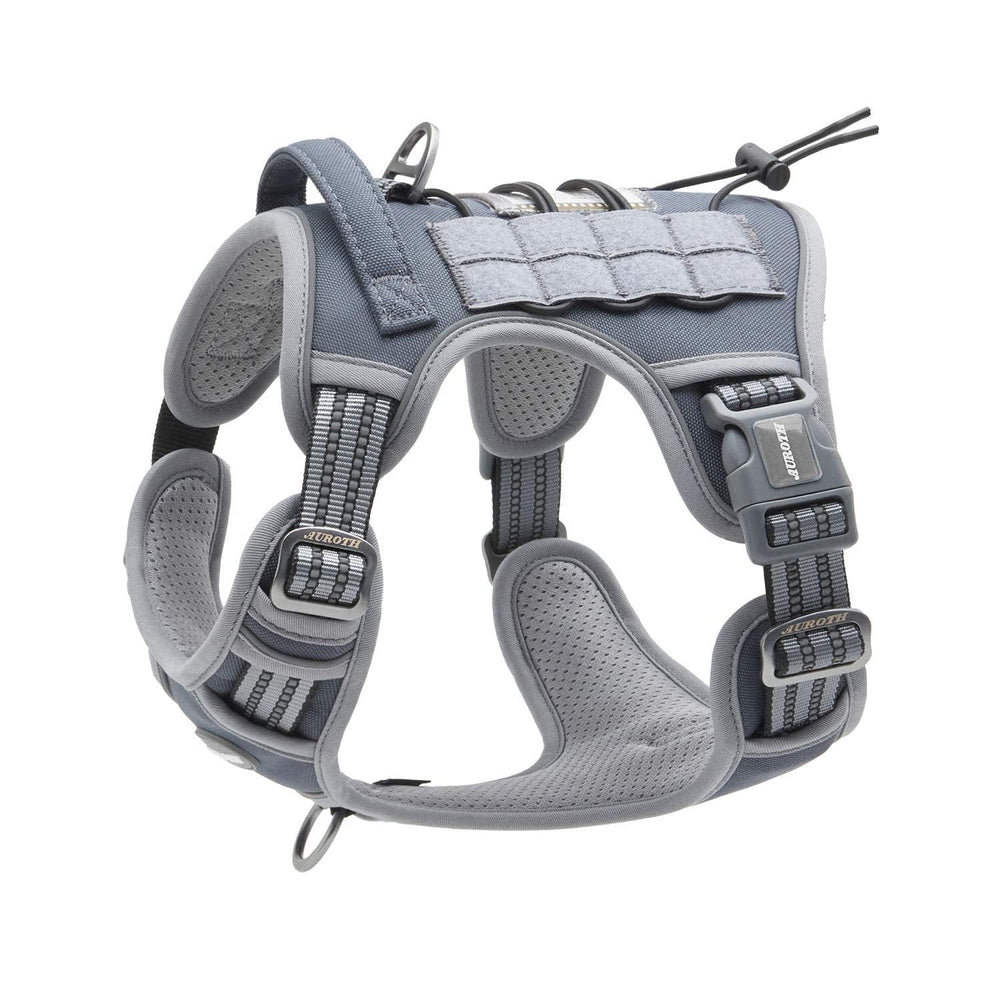 AUROTH reflective-strip enhances visibility during dusk walks.