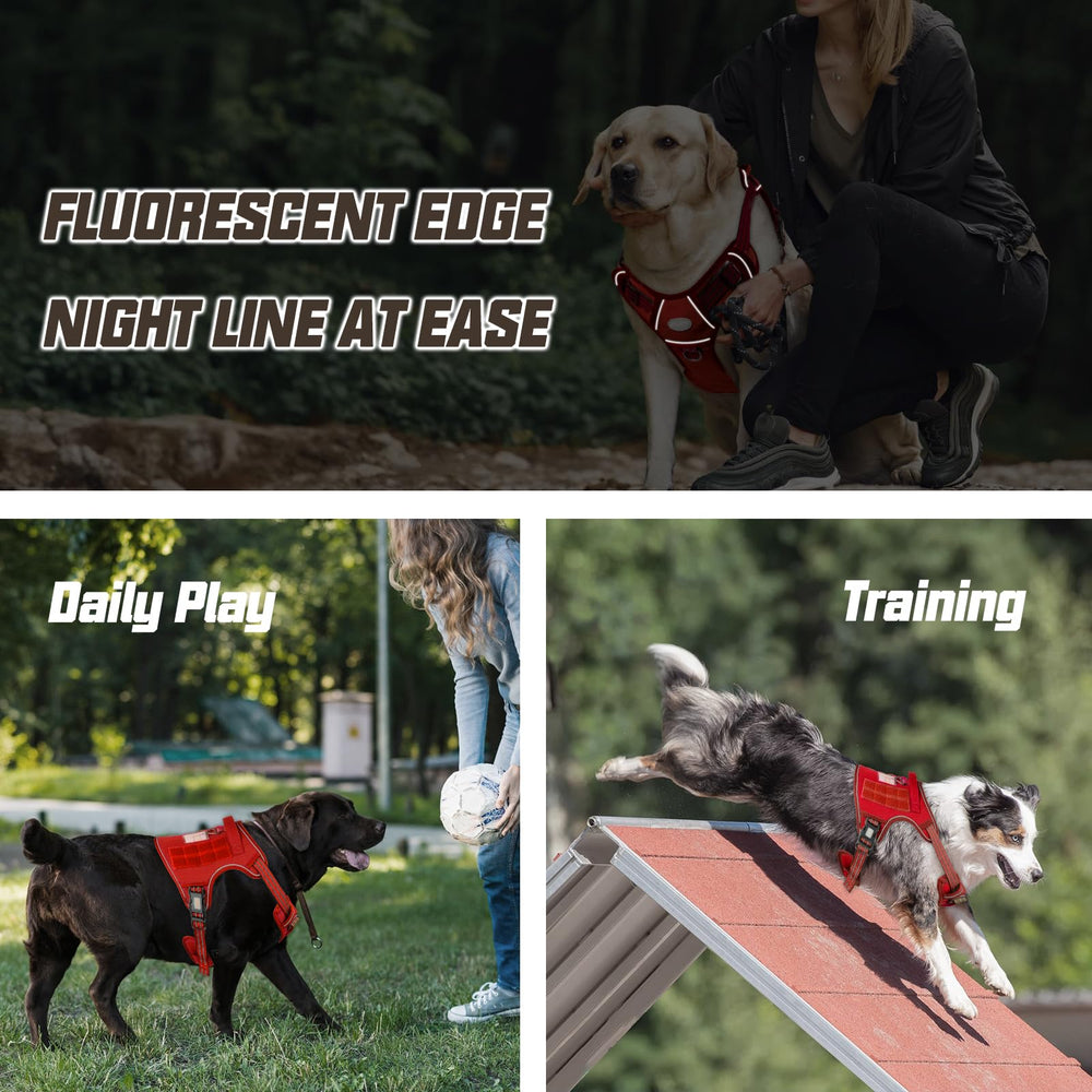 AUROTH Reflective strips enhance visibility for safe night walks