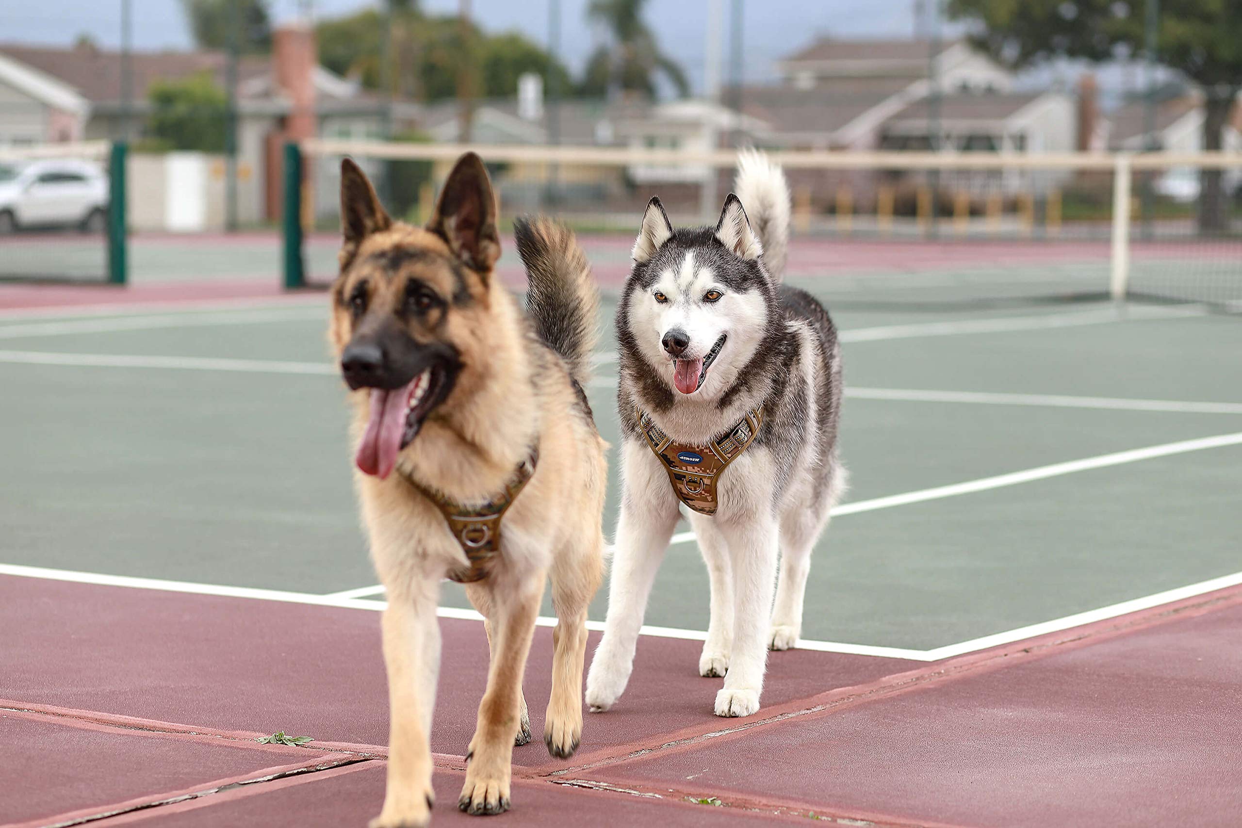 AUROTH reflective trim enhances visibility during dusk walks