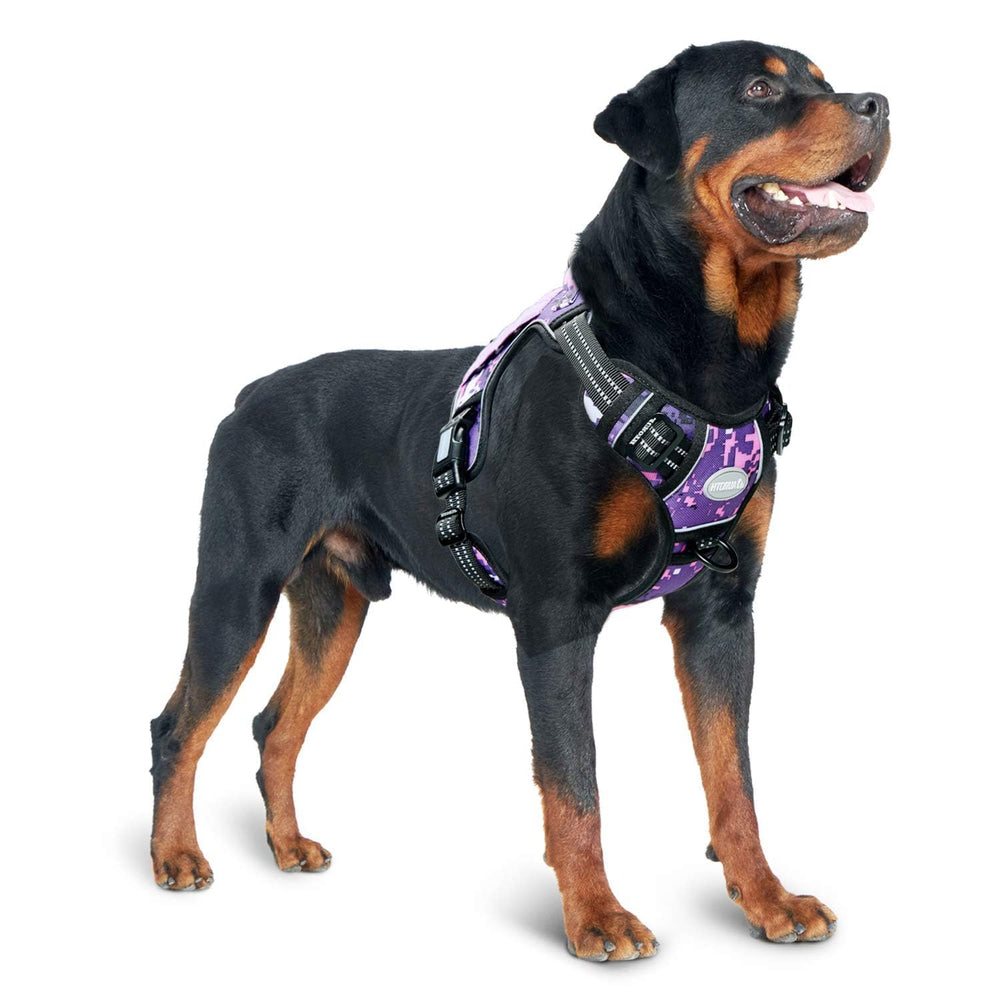 AUROTH harness available in multiple sizes for a secure fit