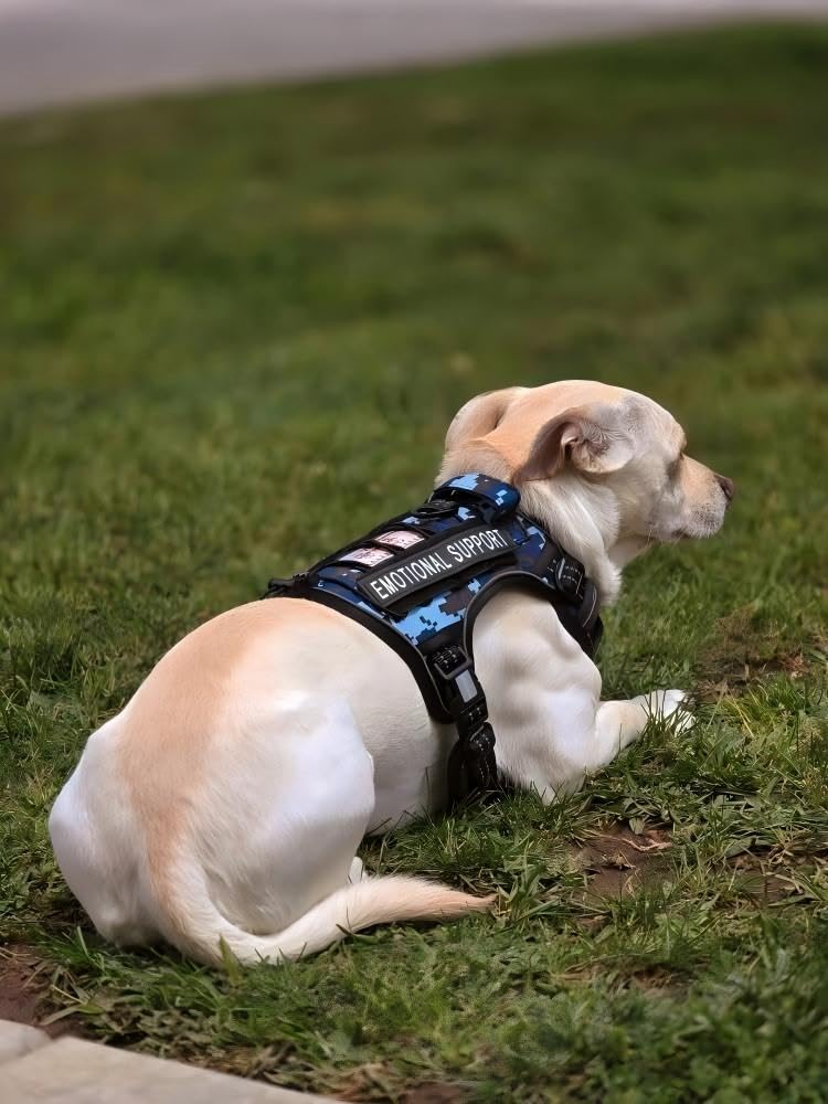 AUROTH tactical dog harness adjustable straps for snug fit across sizes