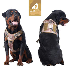 AUROTH Tactical Harness with MOLLE gear demonstrates expandable carry for dog essentials.