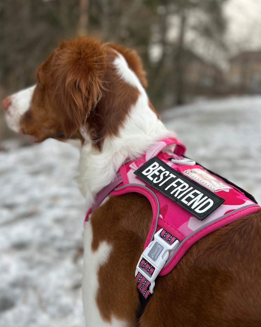 AUROTH breathable air mesh and padding keep dogs comfortable during training.