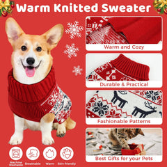 AURUZA model wearing Christmas dog sweater outdoors
