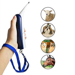 Aurynns pet thermometer display and memory recalls last reading