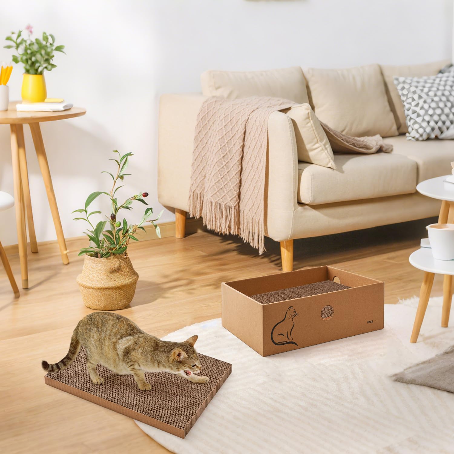 AUSCAT scratcher box in easy-cleaning setup with collected debris
