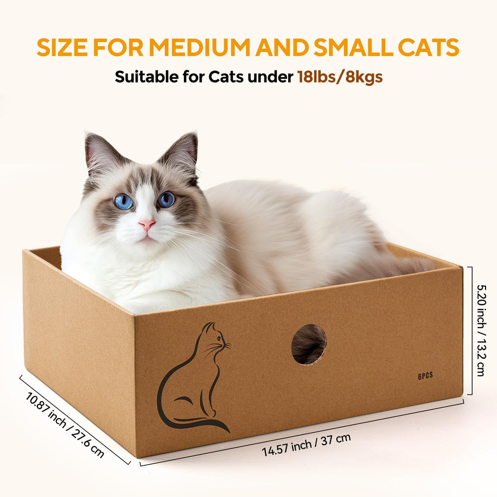 AUSCAT cat scratcher box side holes showing easy pad removal during play