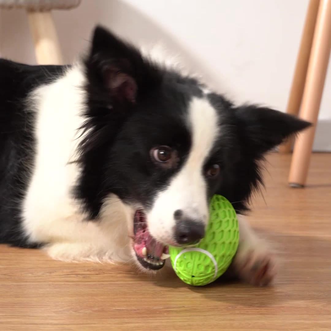 AUSCAT dog toy teeth cleaning green — texturized surface aids chewing action.