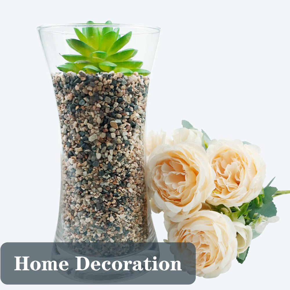 Ausluru sand used as decorative plant pot filler for a modern look.