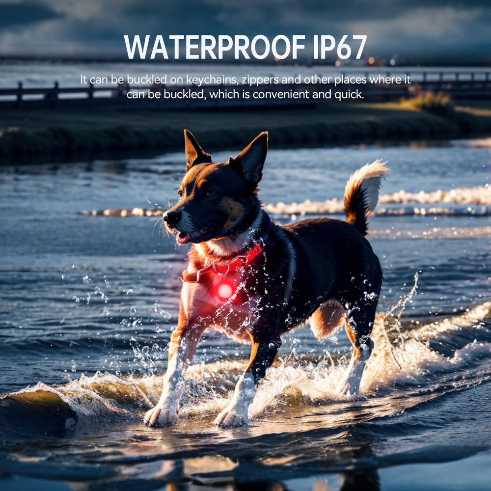 AutoEuropa LED collar light red flashing mode enhances emergency visibility.